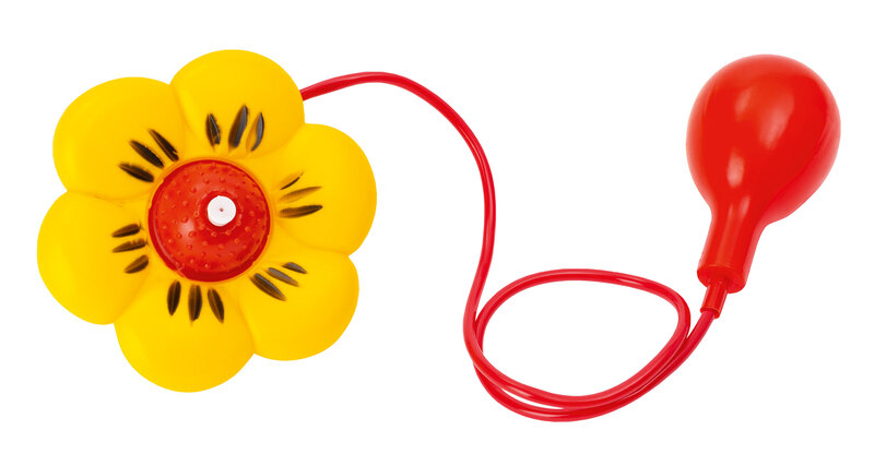 Spritzblume, farblich sortiert online kaufen