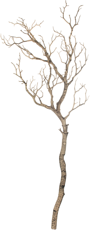 Deko-Ast, braun, 94 cm online kaufen