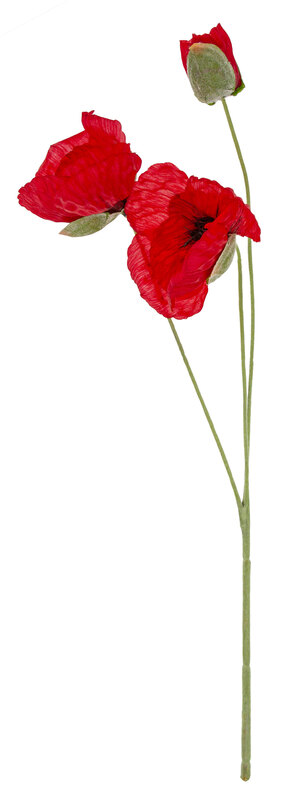 künstliche Mohnblumen, 50 cm online kaufen